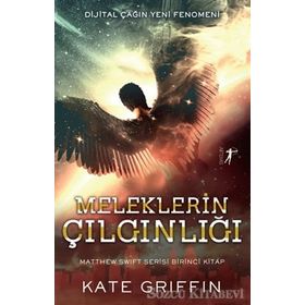Meleklerin Çılgınlığı - Kate Griffin