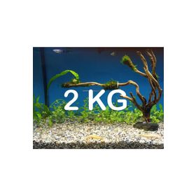 Melien 2 kg Akvaryum Bitki Dere Kumu