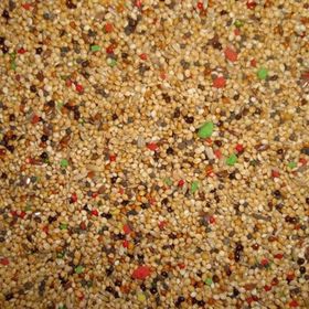 Memişoğlu Baharat 1 kg Multi Vitaminli Kuşyemi