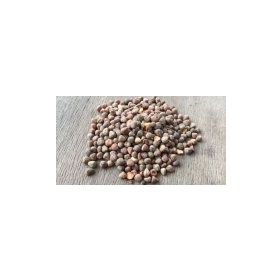 Memişoğlu Baharat 100 gr Burçak Tohumu