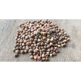 Memişoğlu Baharat 100 gr Burçak Tohumu