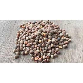 Memişoğlu Baharat 100 gr Burçak Tohumu