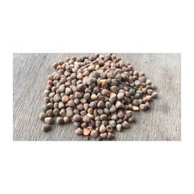Memişoğlu Baharat 100 gr Burçak Tohumu