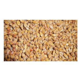 Memişoğlu Baharat 100 gr Süpürge Tohumu