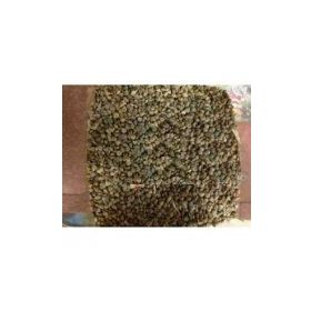 Memişoğlu Baharat 250 gr Ispanak Tohumu