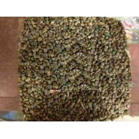 Memişoğlu Baharat 250 gr Ispanak Tohumu