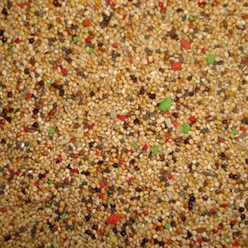 Memişoğlu Baharat 500 gr Vitaminli Kuşyemi