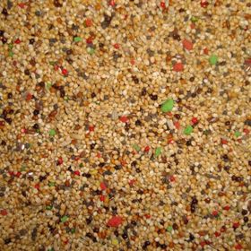 Memişoğlu Baharat 500 gr Vitaminli Kuşyemi