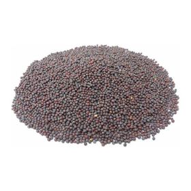 Memişoğlu Baharat Siyah 100 gr Hardal Tohumu