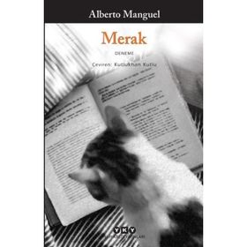 Merak - Ian Leslie