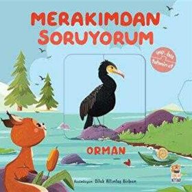 Merakımdan Soruyorum - Orman Sincap Kitap