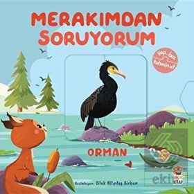 Merakımdan Soruyorum - Orman Sincap Kitap