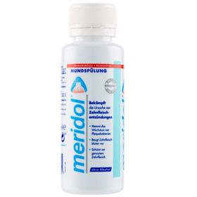 Meridol 100 ml Ağız Bakım Suyu