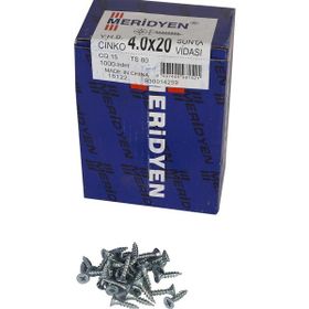 Meridyen 4.0x20 mm 100 Adet Sunta Vidası