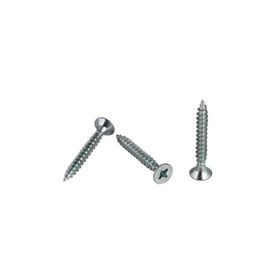 Meridyen 4.0x20 mm 100 Adet Sunta Vidası