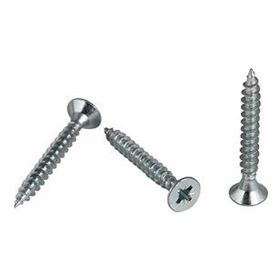 Meridyen 4.0x20 mm 100 Adet Sunta Vidası