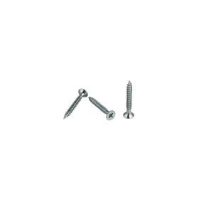 Meridyen 4.0x20 mm 100 Adet Sunta Vidası