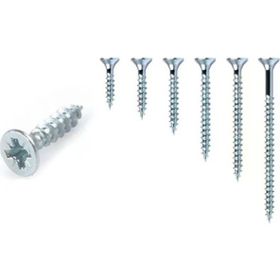 Meridyen 4x20 mm 50 Adet Sunta Vidası