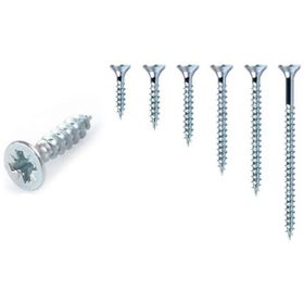 Meridyen 4x20 mm 50 Adet Sunta Vidası