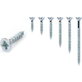 Meridyen 4x20 mm 50 Adet Sunta Vidası