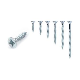 Meridyen 4x20 mm 50 Adet Sunta Vidası