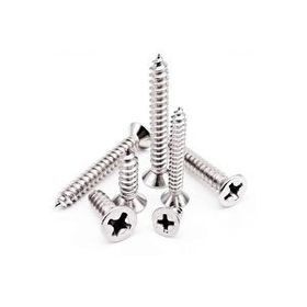 Meridyen 4x40 mm Sunta Vidası