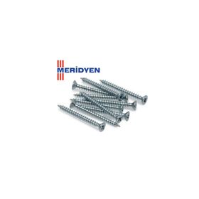 Meridyen 5.0x100 mm 50 Adet Sunta Vidası