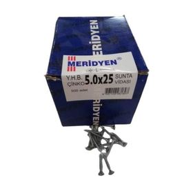 Meridyen 5.0x25 mm 500 Adet Sunta Vidası