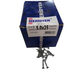 Meridyen 5.0x25 mm 500 Adet Sunta Vidası