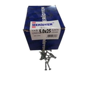 Meridyen 5.0x25 mm 500 Adet Sunta Vidası