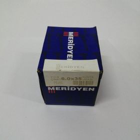 Meridyen 6x35 mm 200 Adet Sunta Vidası
