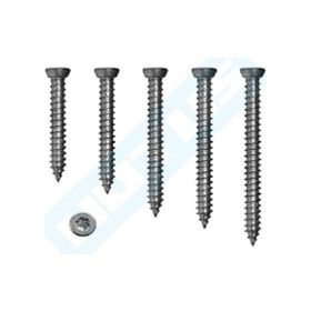 Meridyen 7.5x100 mm 100 Adet PVC Buldex Vidası