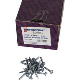Meridyen YHB 4.2x19 mm 1000 Adet Matkap Uçlu Vida