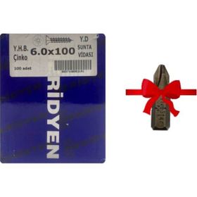 Meridyen YHB 6x100 mm 100 Adet Sunta Vidası