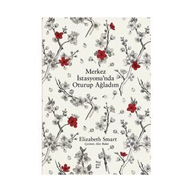 Merkez İstasyonunda Oturup Ağladım - Elizabeth Smart