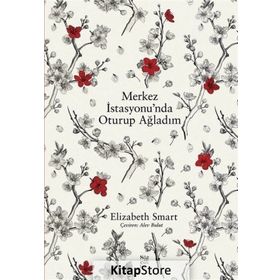 Merkez İstasyonunda Oturup Ağladım - Elizabeth Smart