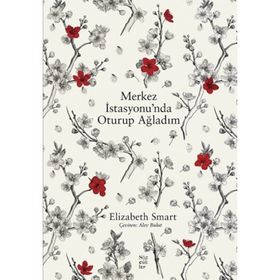 Merkez İstasyonunda Oturup Ağladım - Elizabeth Smart