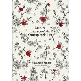 Merkez İstasyonunda Oturup Ağladım - Elizabeth Smart