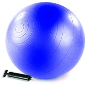Merrithew ST-06049 Mor Health Fitness Barrel Pompalı Denge Topu