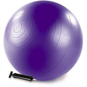 Merrithew ST-06049 Mor Health Fitness Barrel Pompalı Denge Topu