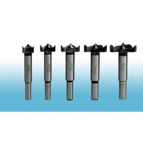 MertTools 5 Parça Tas Menteşe Freze Uç Seti