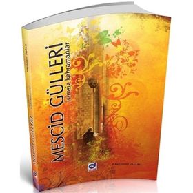 Mescid Gülleri- Mehmet Aslan