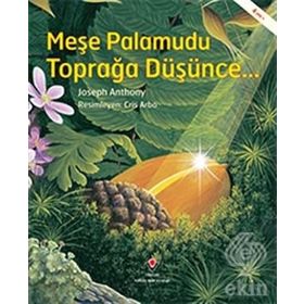 Meşe Palamudu Toprağa Düşünce - Joseph Anthony