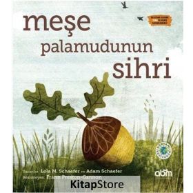 Meşe Palamudunun Sihri - Adam Schaefer Lola M. Schaefer
