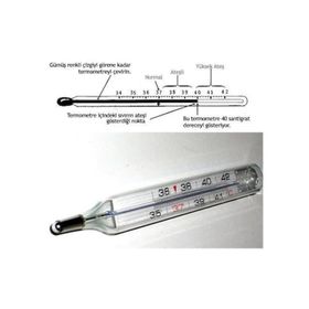 Mesilife CRW1108 Ateş Ölçer