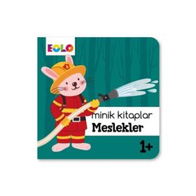 MESLEKLER - ROSA M. CURTO