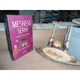 MESNEVI ŞERHI PADIŞAH CARIYE KISSASI - M. FATIH ÇITLAK