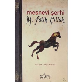 MESNEVI ŞERHI PADIŞAH CARIYE KISSASI - M. FATIH ÇITLAK