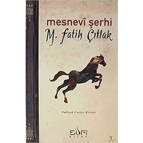 MESNEVI ŞERHI PADIŞAH CARIYE KISSASI - M. FATIH ÇITLAK