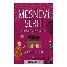 MESNEVI ŞERHI PADIŞAH CARIYE KISSASI - M. FATIH ÇITLAK